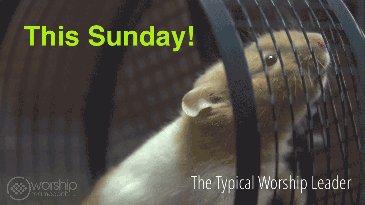 wtc-hamster-this-next-sunday_opt.gif wtc-hamster-this-next-sunday_opt.gif